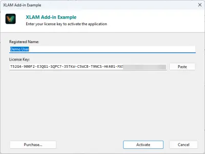 Activation dialog — end users enter their license key here